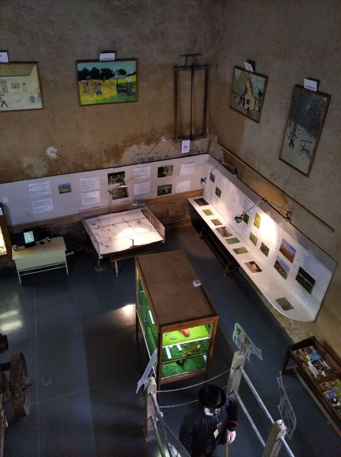 Venez découvrir les nouvelles expositions du Musée de l'Elevage et du Charolais