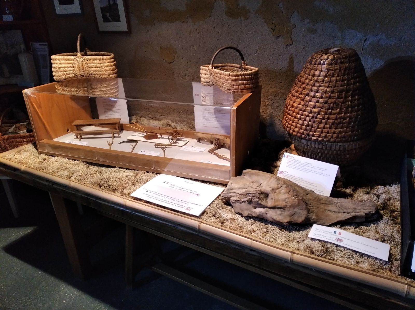 Venez découvrir les nouvelles expositions du Musée de l'Elevage et du Charolais