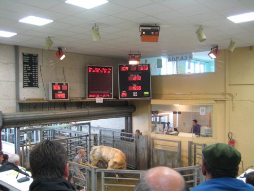 Visite guidée couplée Marché au Cadran/Musée en Août