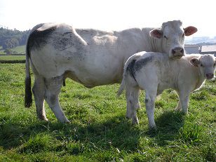 Le Musée sera ouvert en Juillet &amp; Août du mardi au dimanche de 10h à 17h   Le lundi 15 Août ouverture de 10h à17h  Venez nombreux découvrir les nouvelles expositions : L'Irlande et son agriculture, les miniatures réalisées par Robert (ancien guide du Musée), et la collection de fossiles et minéraux de François.