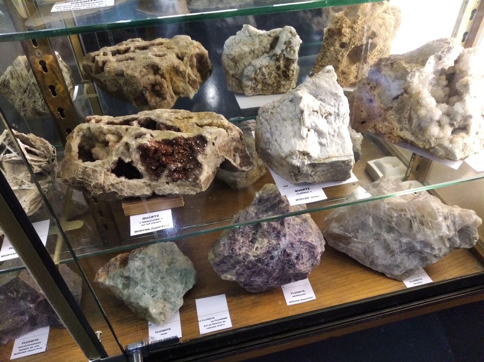 Exposition Minéraux Fossiles