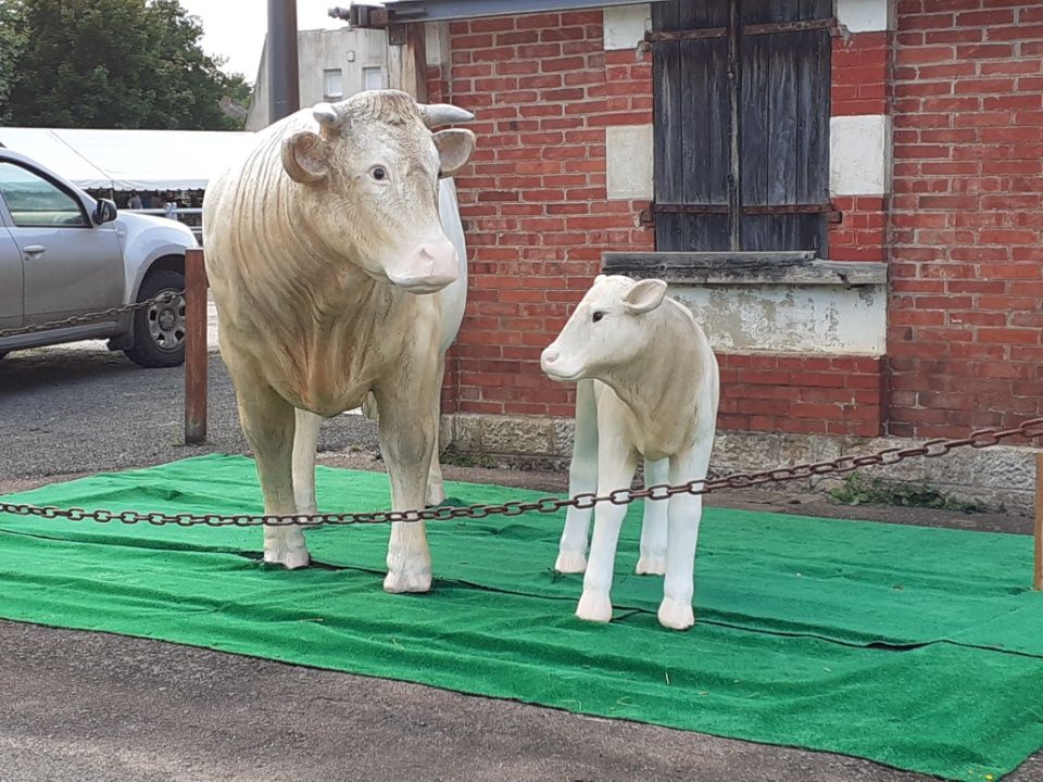 Le Musée de l'Elevage et du Charolais ouvre ses portes à Pâques pour débuter la saison 2022